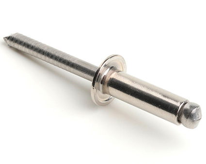 Stainless Steel Dome Rivets
