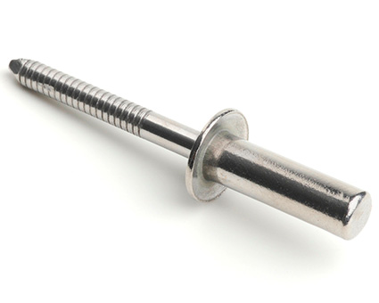Stainless Steel Sealed Dome Rivets